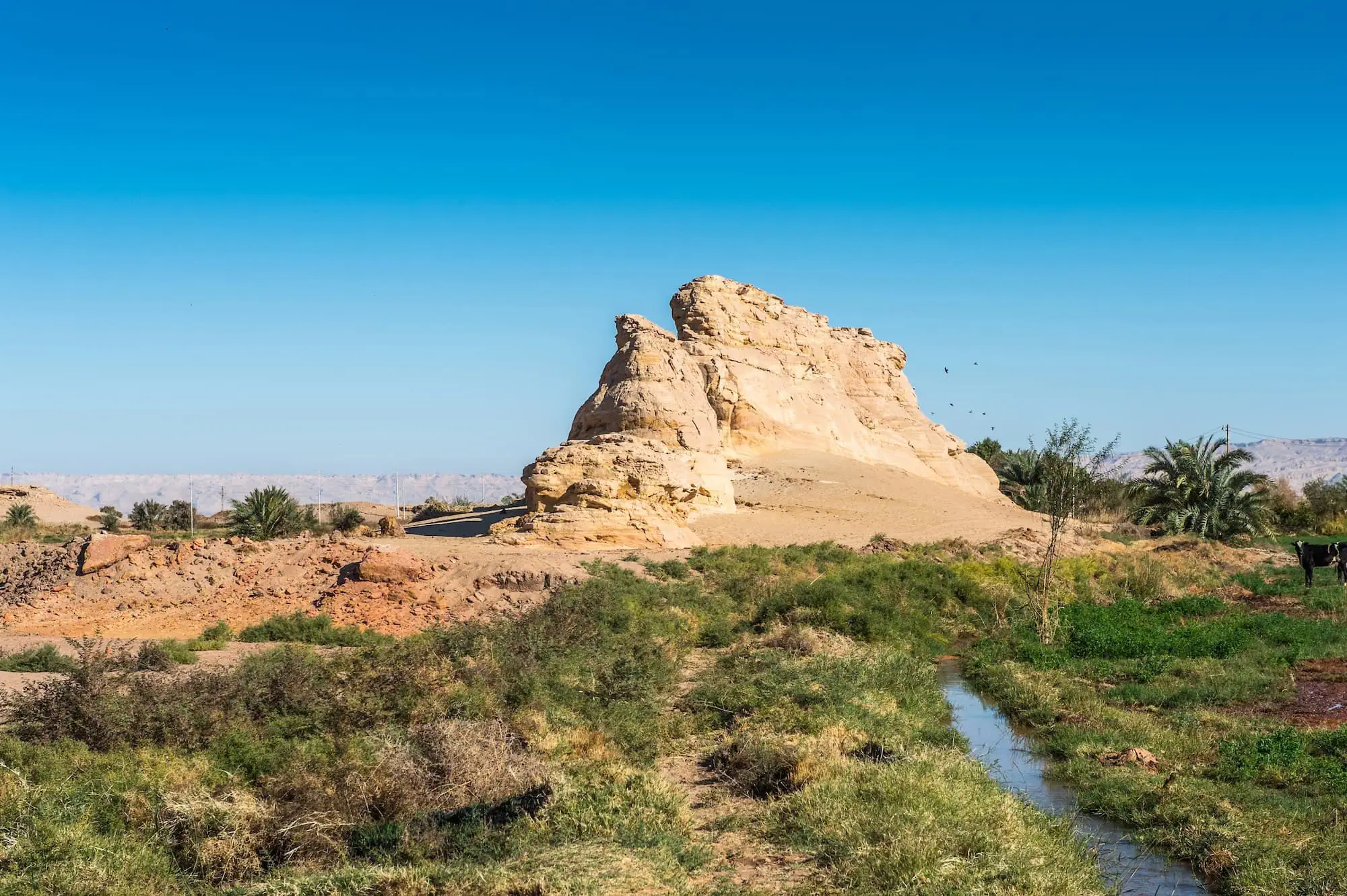 Dakhla Oasis: The largest Oasis in Egypt