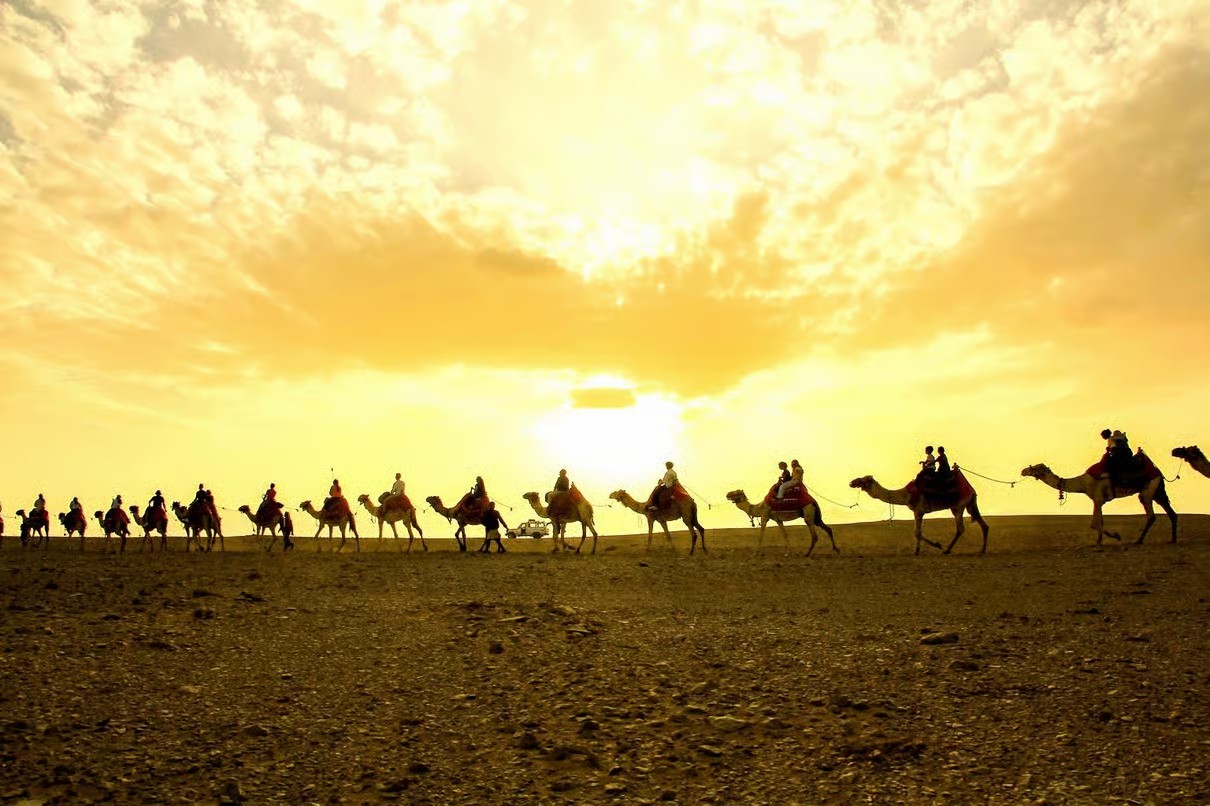 Hurghada Desert Stargazing Experience with Dinner