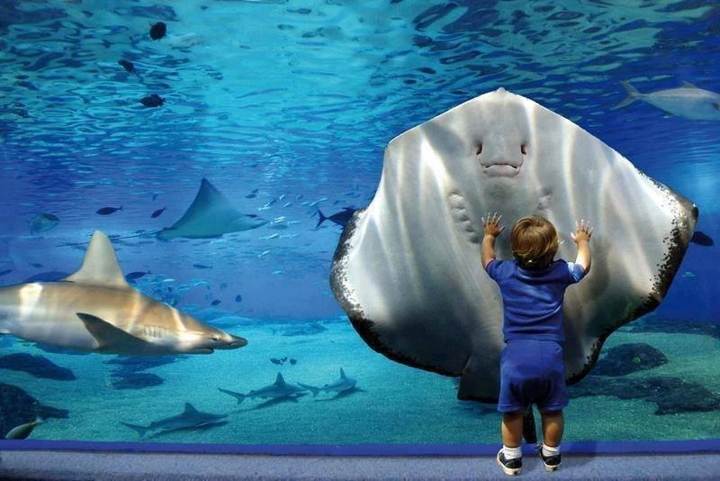 Hurghada Grand Aquarium
