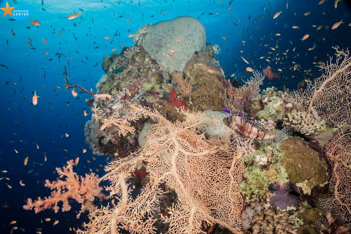 Hurghada Grand Aquarium: Underwater World & Marine Life Experience