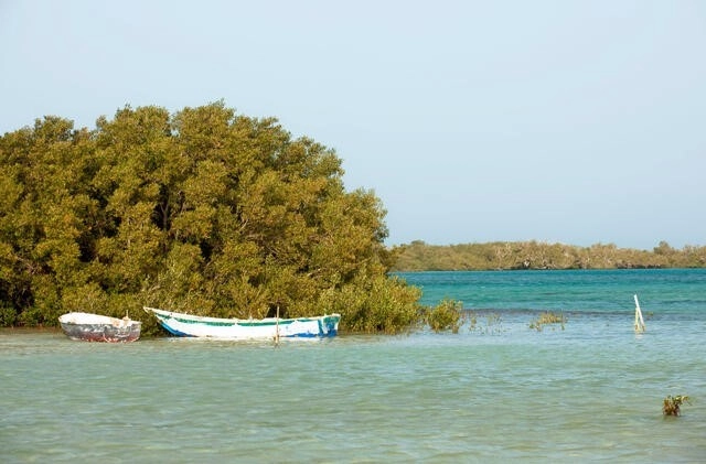 The Nabq Protected Area