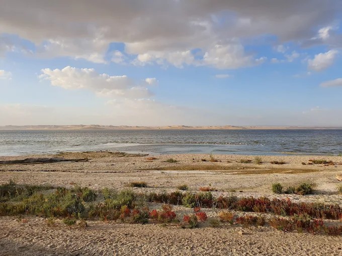 Tour zur Fayoum-Oase ab Kairo
