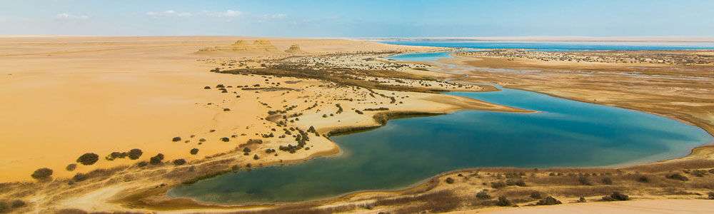 Tour zur Fayoum-Oase ab Kairo