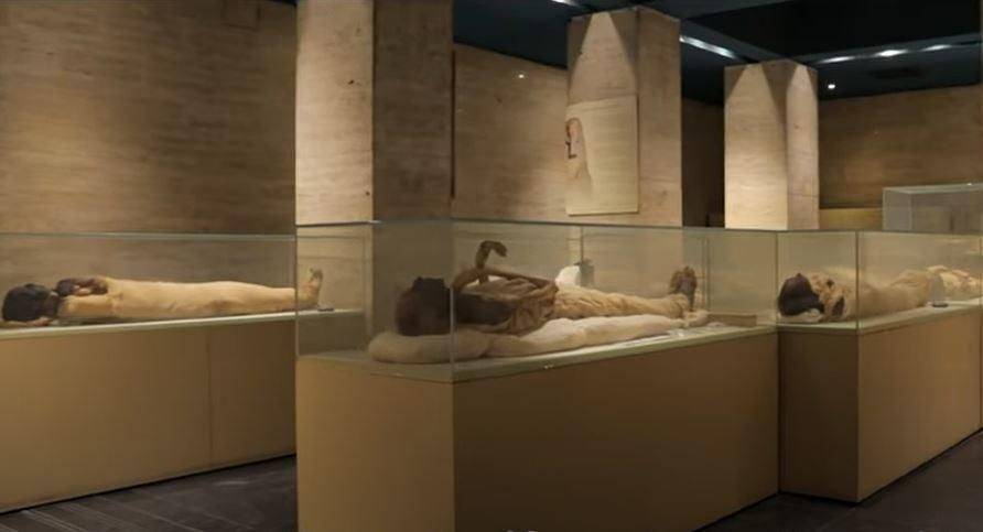 Das Beste von Kairo: Tour durch das Nationalmuseum der ägyptischen Zivilisation