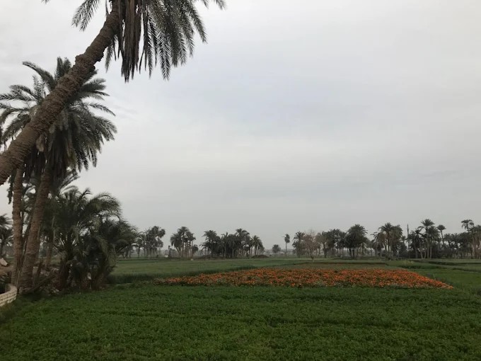 Tour zur Fayoum-Oase ab Kairo